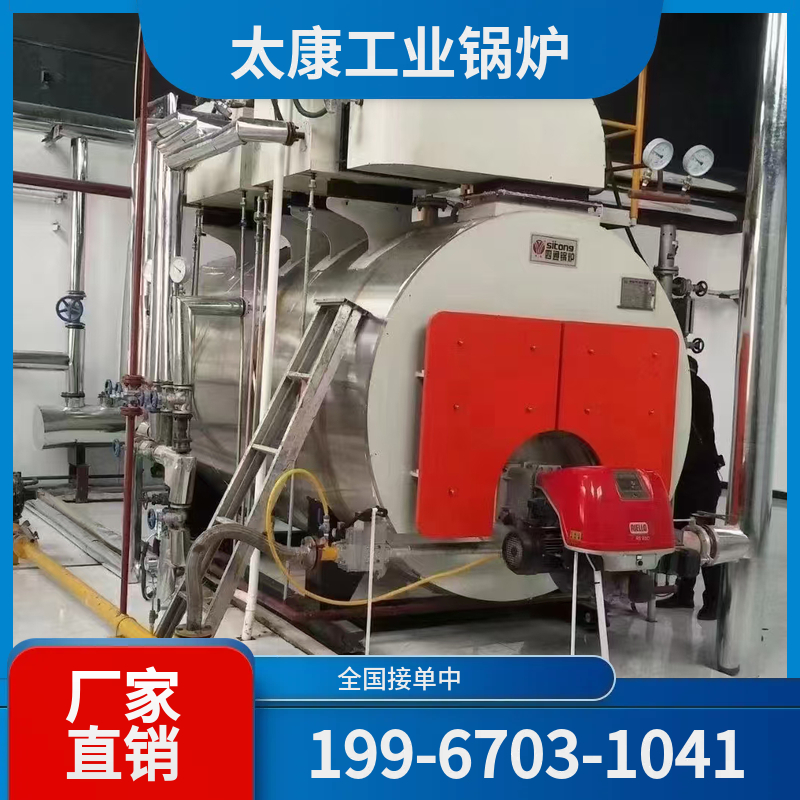 眉山生物质蒸汽锅炉